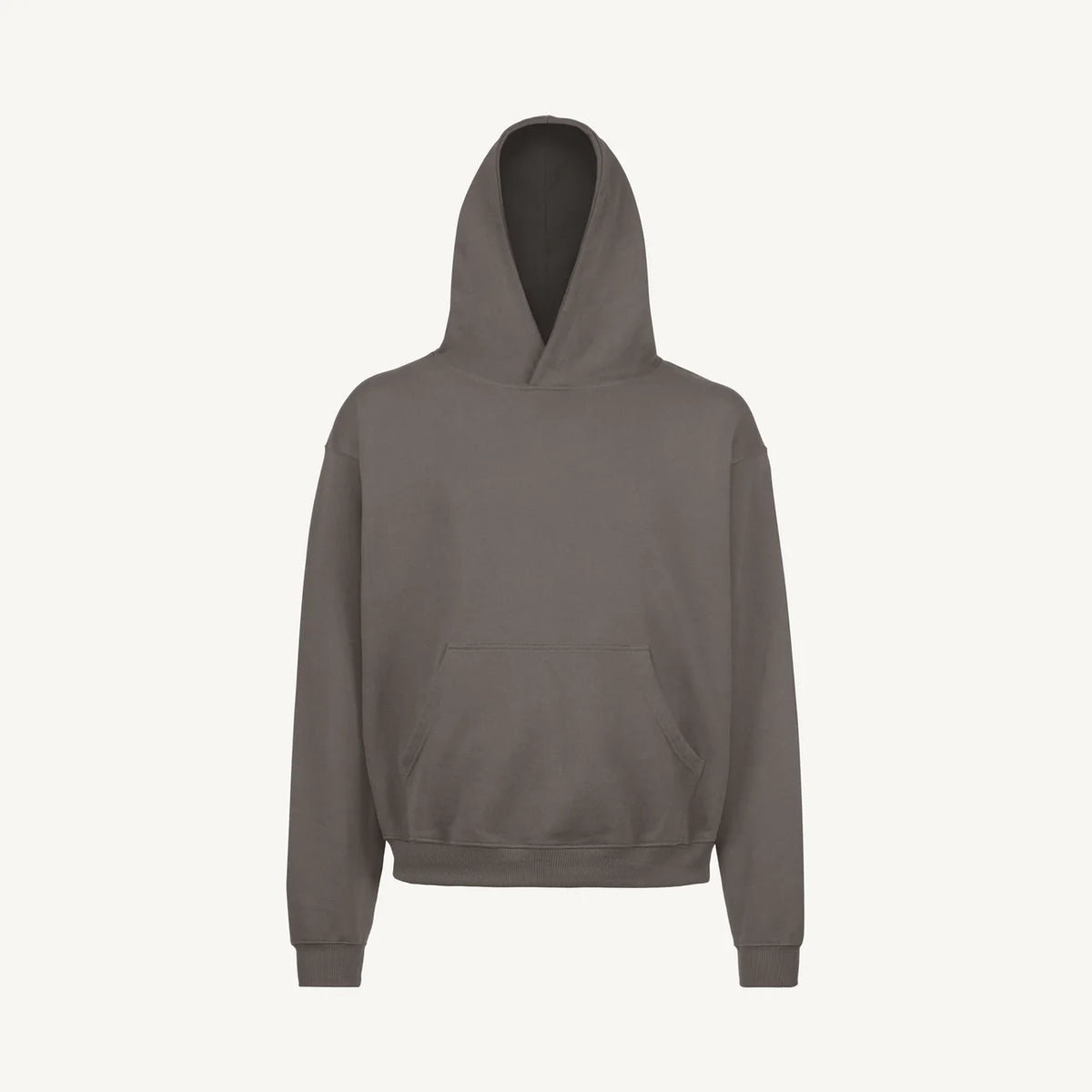 Pigment Oversized Hoodie